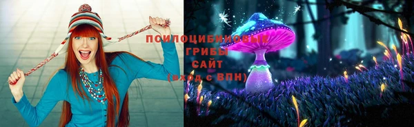 дживик Горняк