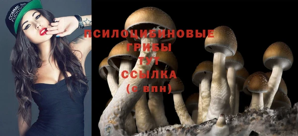 дживик Горняк