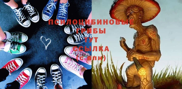 хмурый Вяземский