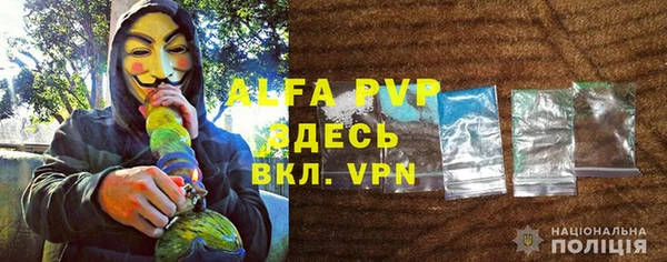 хмурый Вяземский