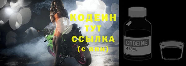 хмурый Вяземский