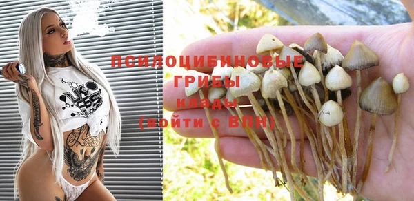 крисы Вязники