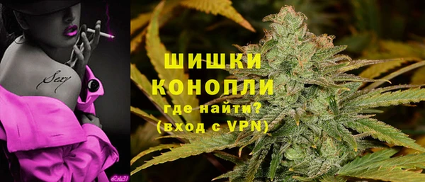хмурый Вяземский